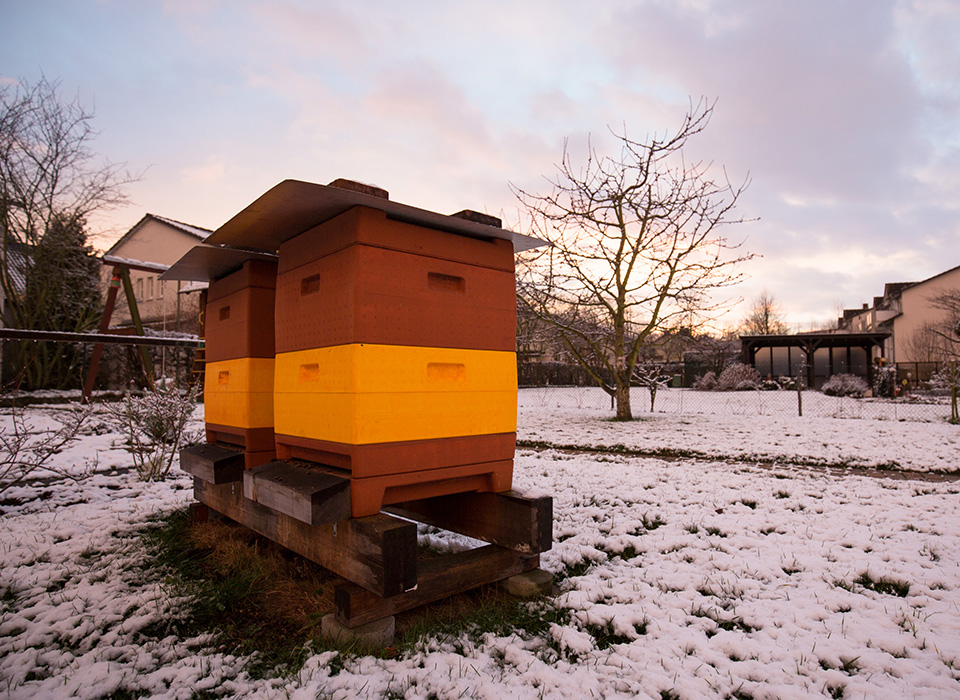 Honig aus Kassel - Unsere Bienenstöcke im Winter