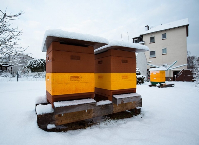 Honig aus Kassel - Unsere Bienenstöcke im Winter